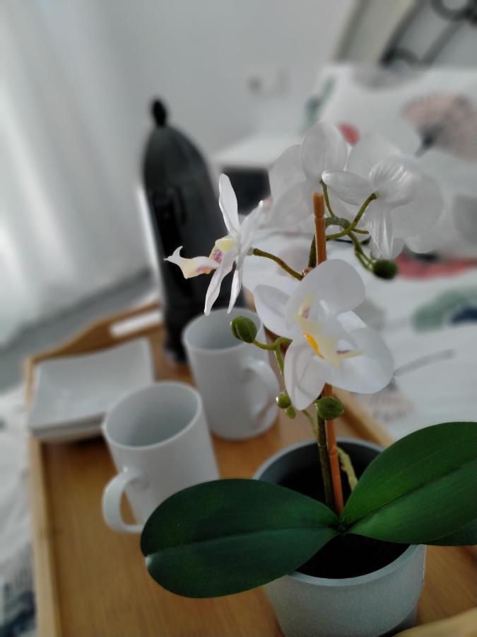 Precioso Loft En Conil De La Frontera公寓 外观 照片
